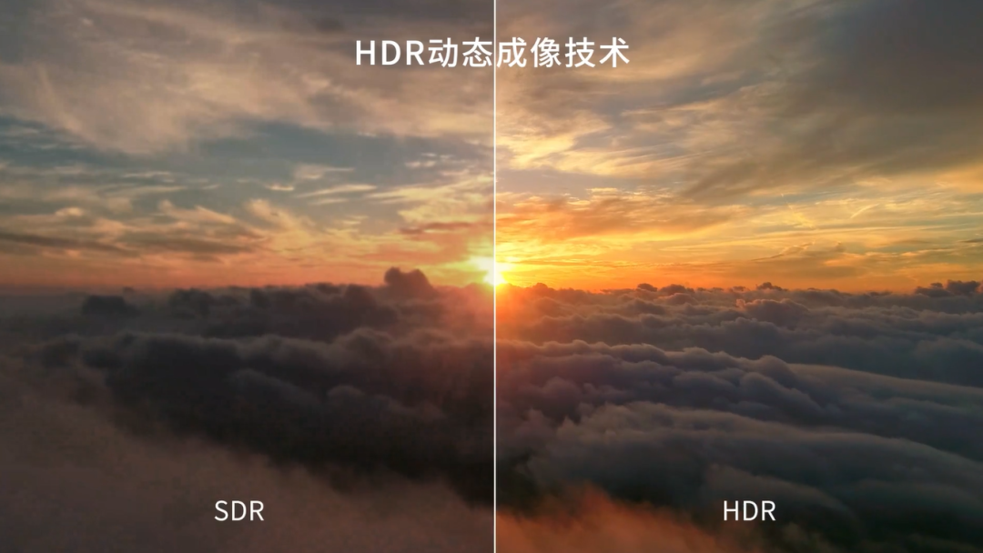 乐鱼官方站网页版登录入口TX平台