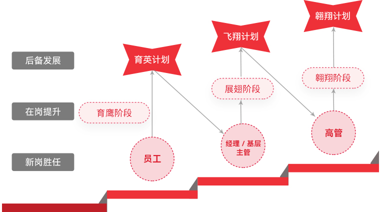 乐鱼官方站网页版登录入口 "雄鹰计划"人才梯队培养